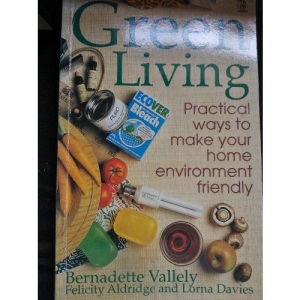 Green Living: Practical Ways to Make Your Home Environment Friendly