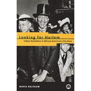 Looking for Harlem: Urban Aesthetics in African-American Literature