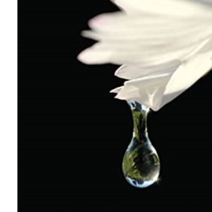 Living with Bereavement