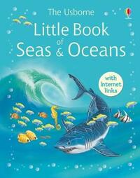 Little Encyclopedia of Seas and Oceans (Usborne Little Encyclopedias) (Little Books)