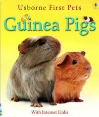 Guinea Pigs (First Pets)