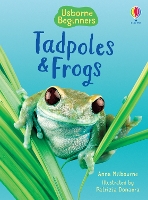Tadpoles and Frogs