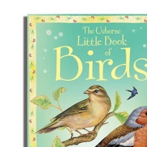 Little Book of Birds (Usborne Little Books)