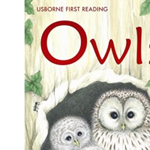 Owls (First Reading Level 4)