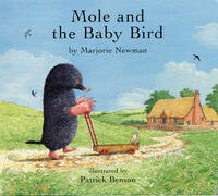 Mole and the Baby Bird