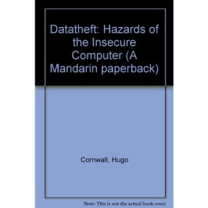 Datatheft: Hazards of the Insecure Computer (A Mandarin paperback)