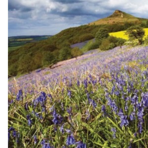 Cycling in the UK (Sustrans)