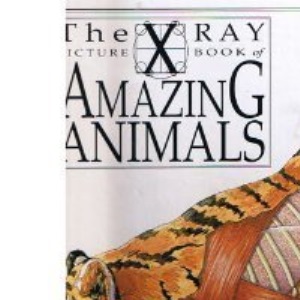 X Ray Picture Book of Amazing Animals
