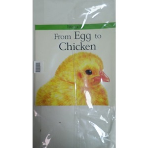 From Egg To Chicken (Lifecycles)
