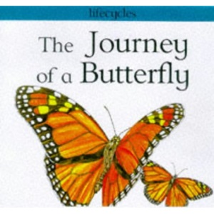 The Journey of a Butterfly (Lifecycles)