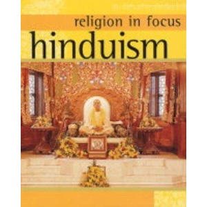 Hinduism (Religion in Focus)