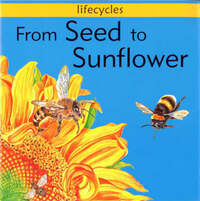 From Seed To Sunflower (Lifecycles)