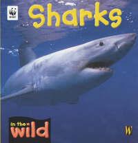 In The Wild: Sharks