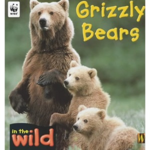 Grizzly Bears (In the Wild)