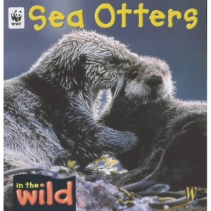 Sea Otters (In The Wild)