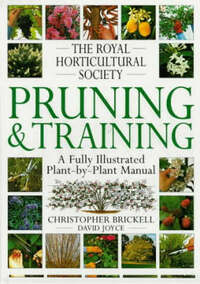 RHS Pruning & Training