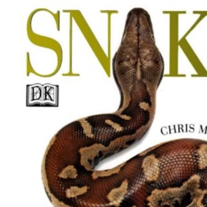 Snake: The Essential Visual Guide