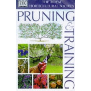 RHS Pruning and Training
