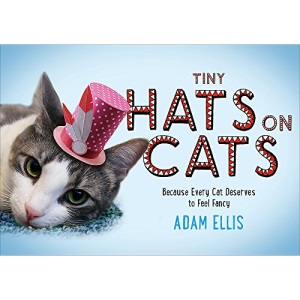 Tiny Hats on Cats