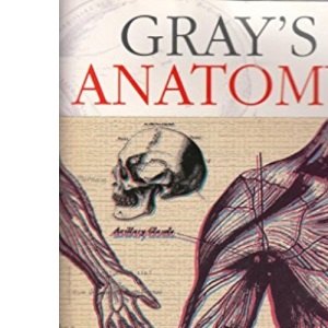 Anatomy