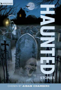 Haunted Stories (Red Hot Reads S.)