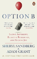 Option B