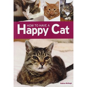 How to have a Happy Cat