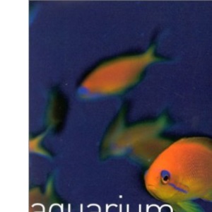 Aquarium Fish