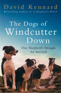 The Dogs of Windcutter Down: One Shepherd's Struggle for Survival