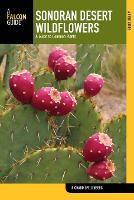 Sonoran Desert Wildflowers