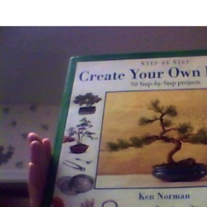 Step-by-Step Create Your Own Bonsai