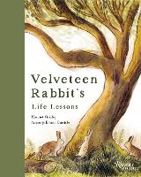 Velveteen Rabbit's Life Lessons