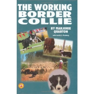 The Working Border Collie