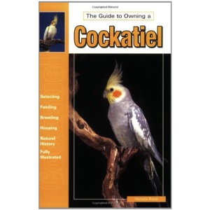 Guide to Owning a Cockatiel
