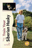 How to Train Your Siberian Husky