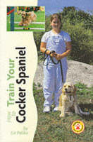 How to Train Your Cocker Spaniel