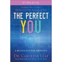 The Perfect You Workbook – A Blueprint for Identity