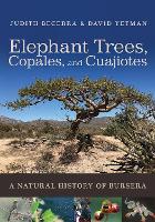 Elephant Trees, Copales, and Cuajiotes