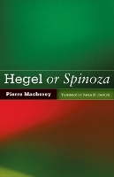 Hegel or Spinoza
