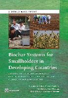 Biochar Systems for Smallholders in Developing Countries
