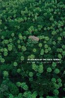 In Search of the Rain Forest