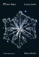 Winter Stars