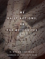 My Daily Actions, or the Meteorites