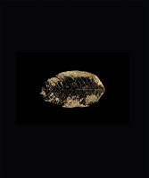 Eden Turned on Its Side