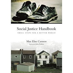 Social Justice Handbook: Small Steps for a Better World (Bridgeleader Books)