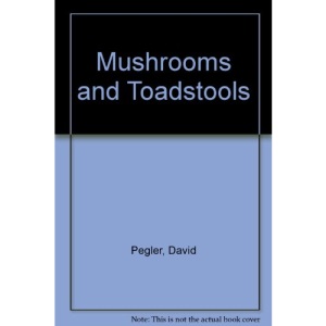 Mushrooms and Toadstools