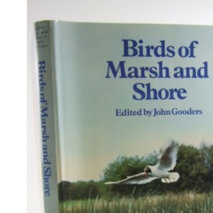 Birds of Marsh and Shore