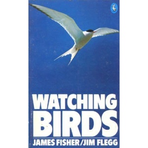Watching Birds
