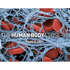 The Human Body Close-up