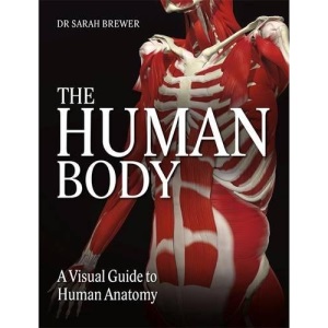 The Human Body: A Visual Guide to Human Anatomy